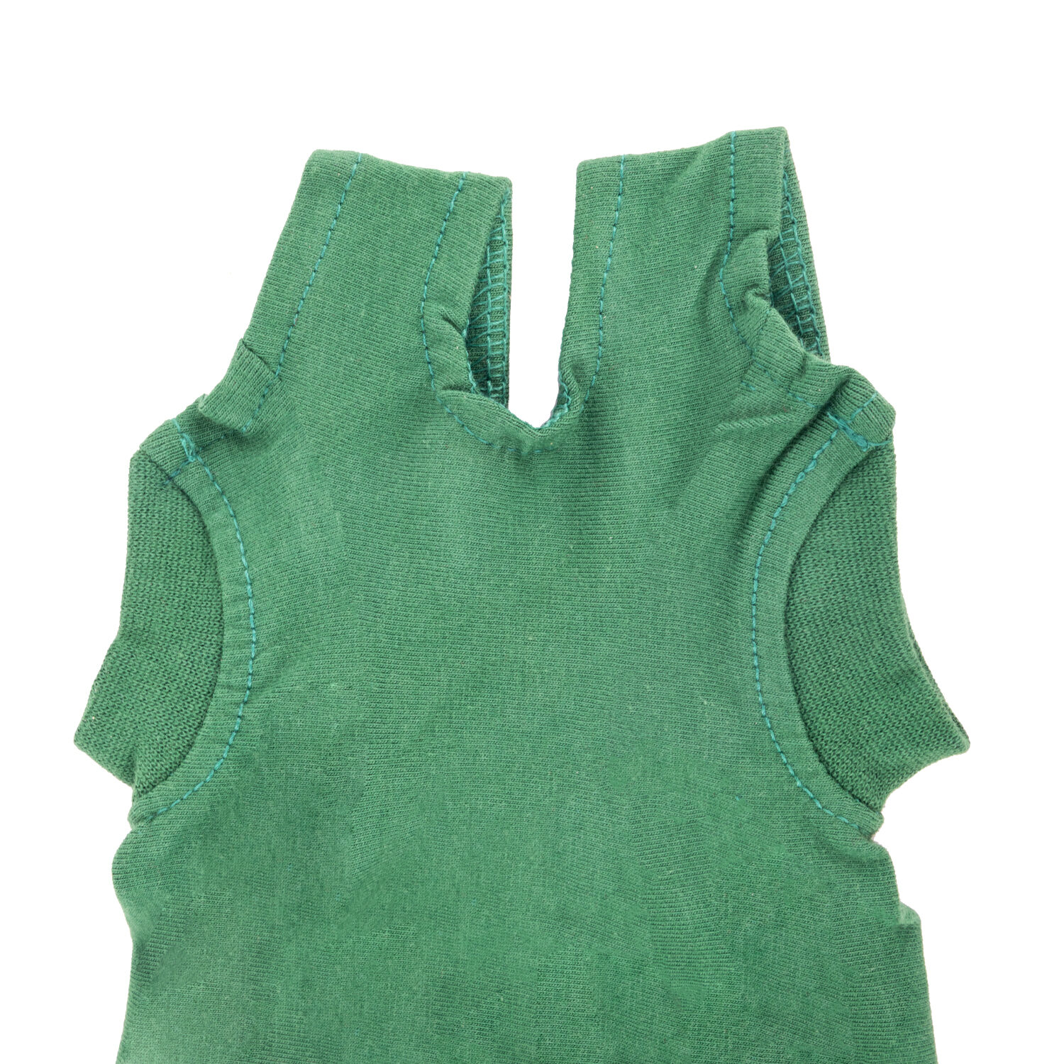 Dr. Ann's Protective Shirt Katze