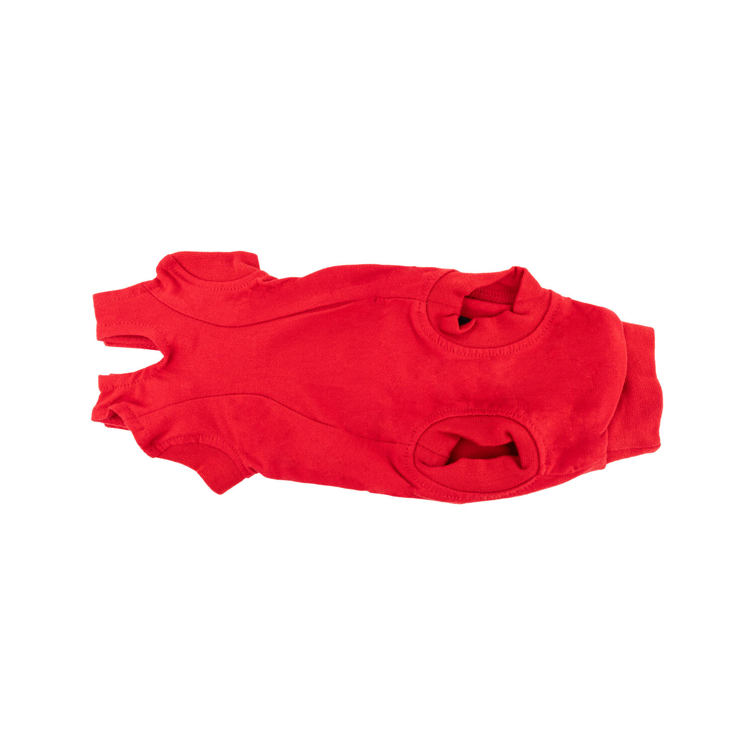 Dr. Ann's Protective Shirt Katze
