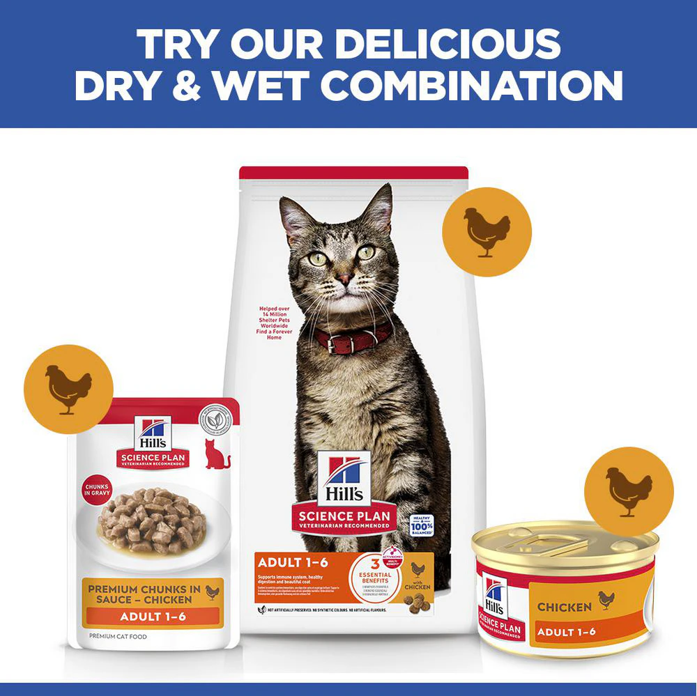 Hill's Science Plan Feline Adult Premium Mousse - Chicken