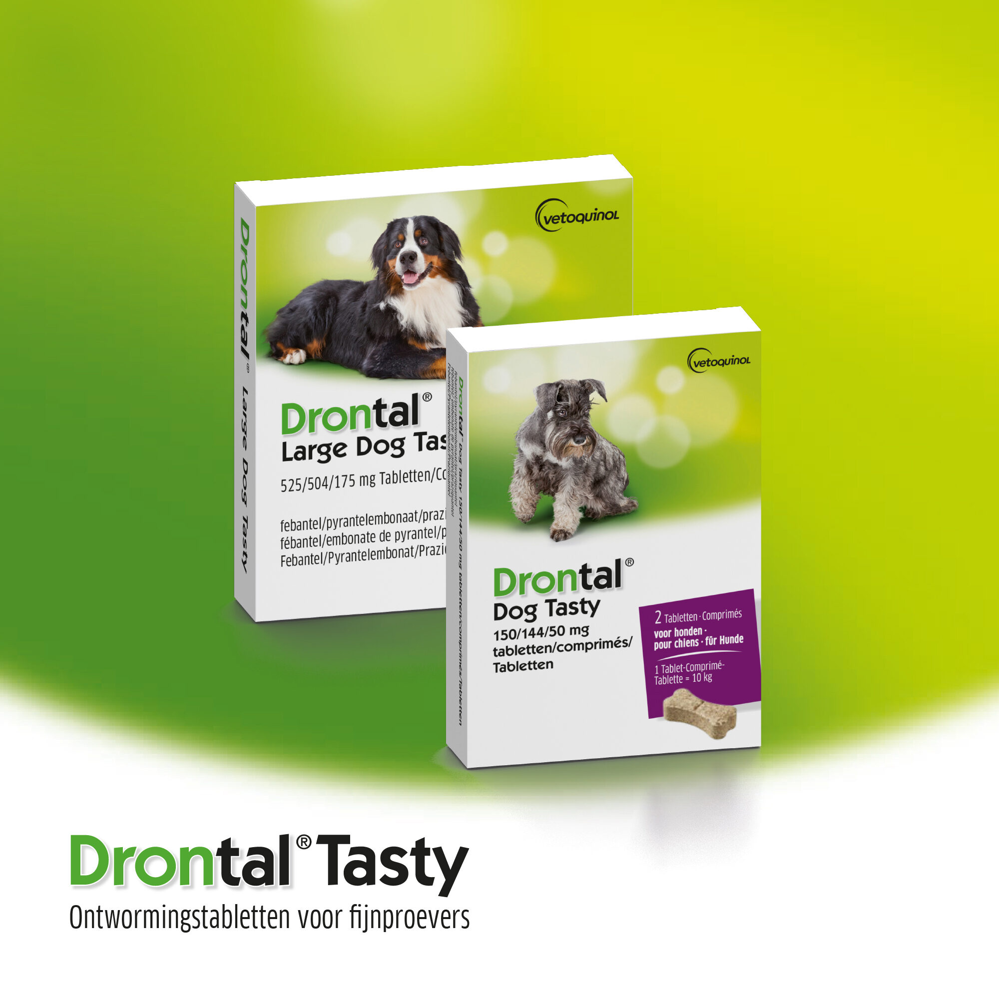 Drontal large dog deals flavour 2 tabletten