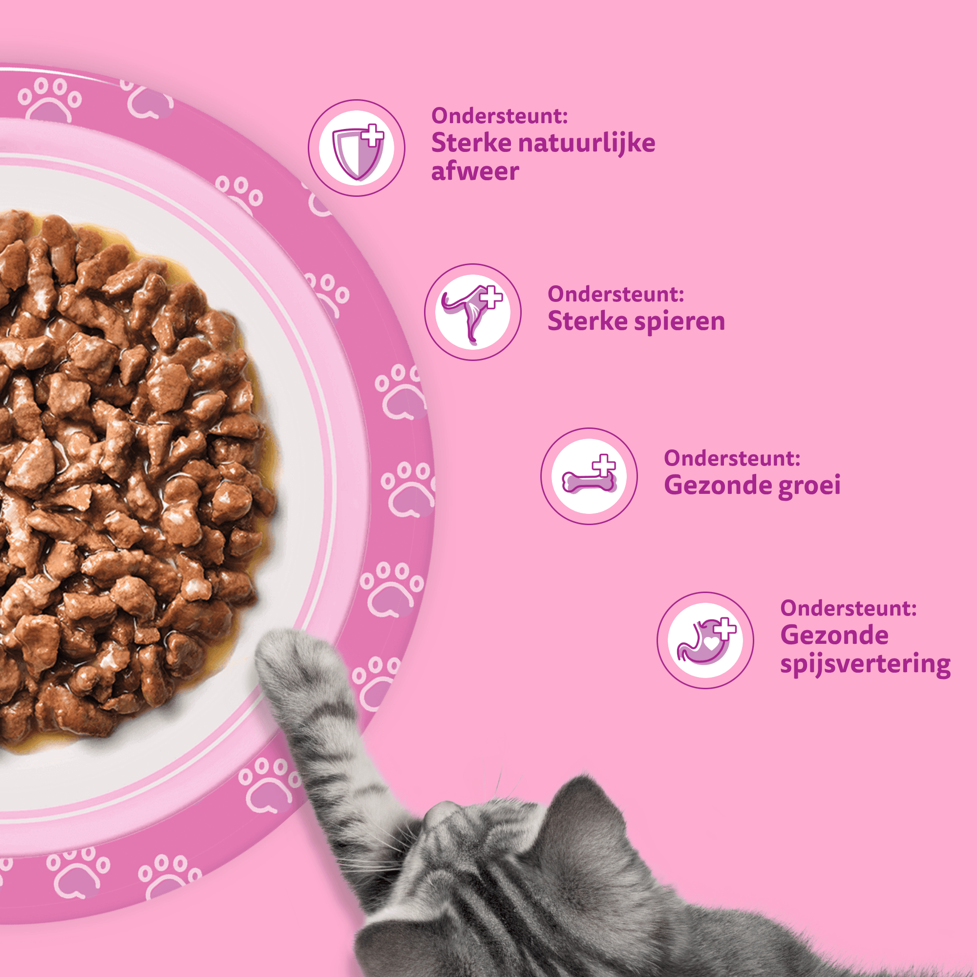 Whiskas Junior Classic Selectie in saus multipack (12 x 85g Whiskas Junior Classic Selectie in saus multipack (12 x 85g