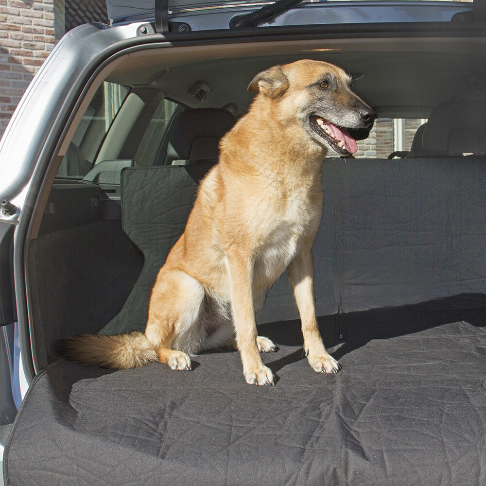 Duvo+ Boot Liner
