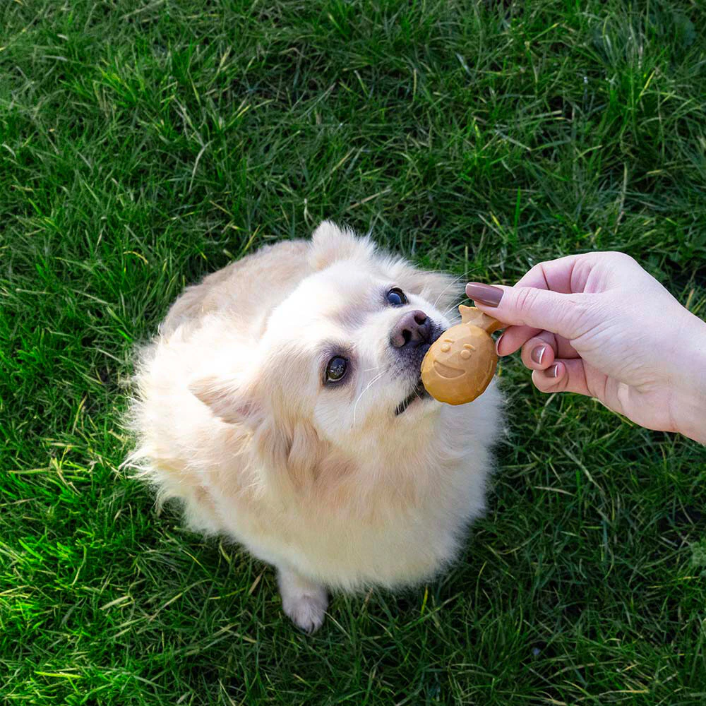 Duvo+ Garden Bites Fruity Buddies