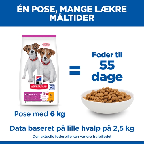 Hill's Science Plan Small & Mini - Hvalp - Kylling