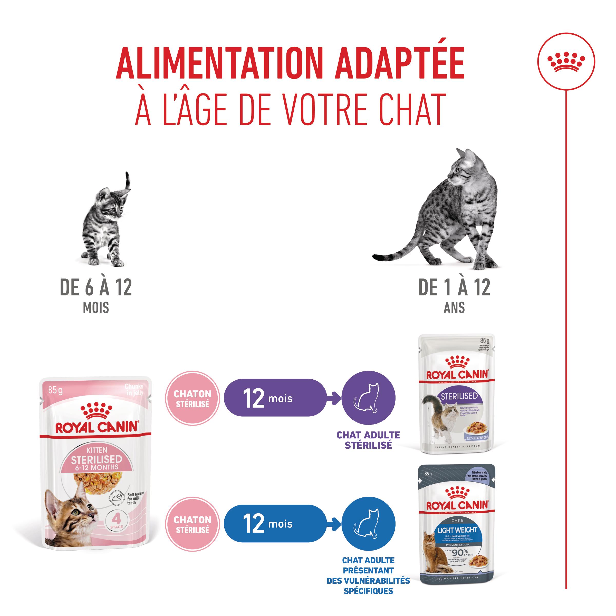 Royal Canin Kitten Sterilised in Jelly - Sachets