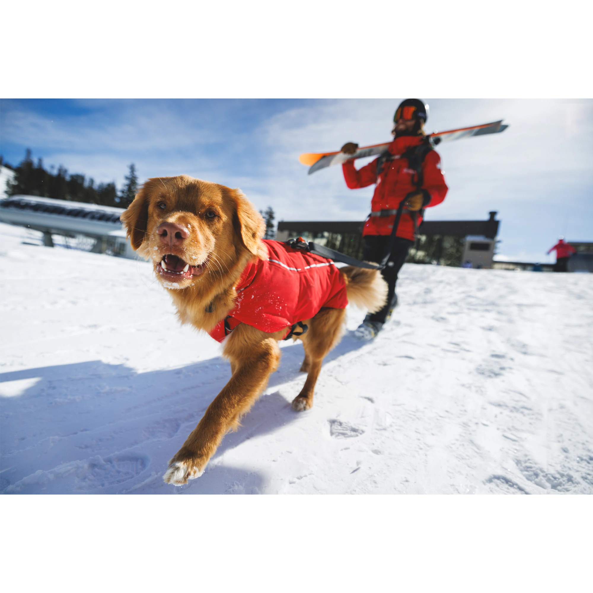 Ruffwear Powder Hound Waterproof Insulated Vest