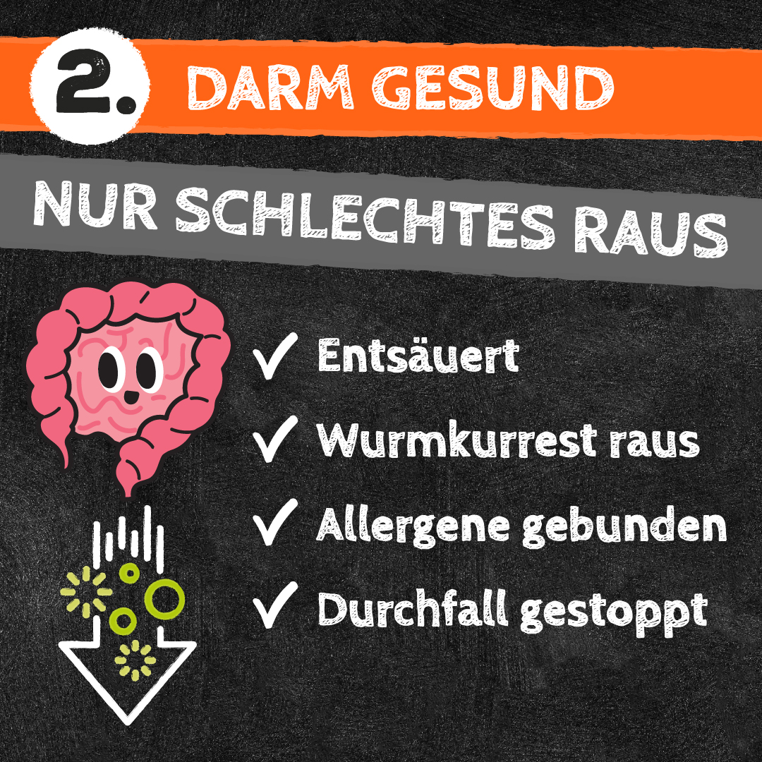 Qchefs Zahnputzkohle Hund