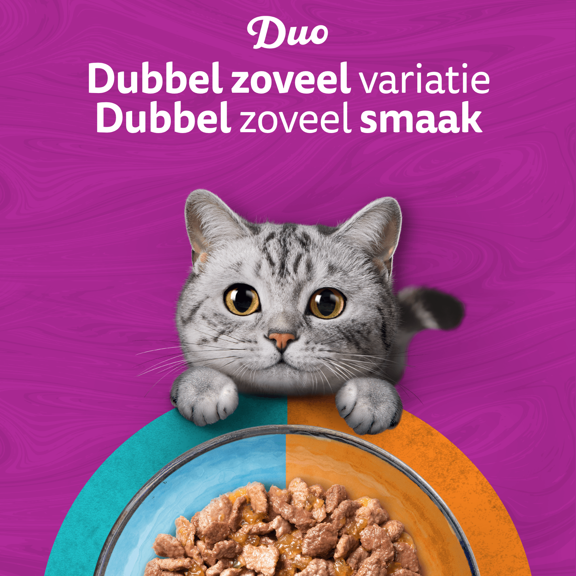 Whiskas 1+ Natvoer - Duo - Surf & Turf in Gelei