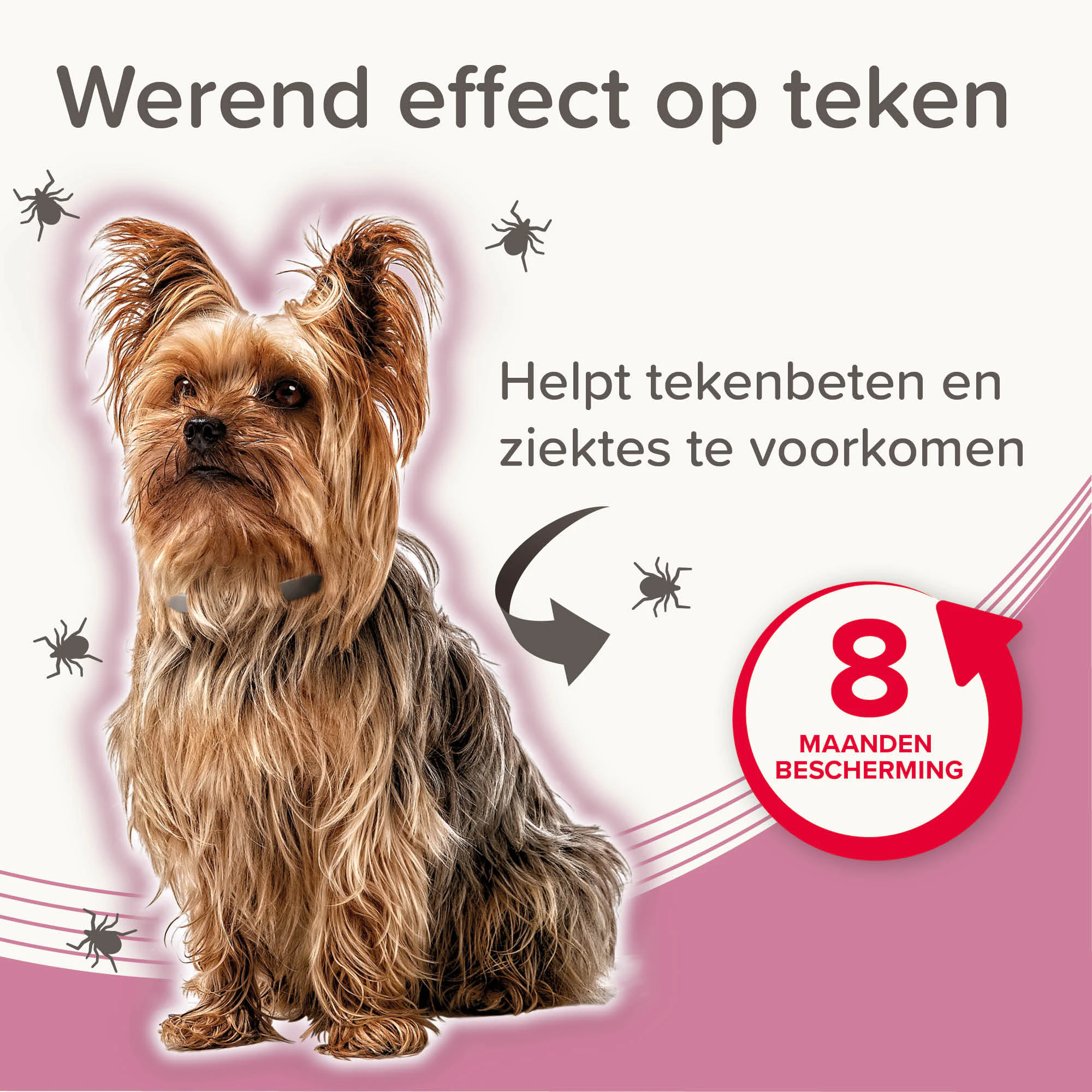 Beaphar Medicinale Halsband Hond
