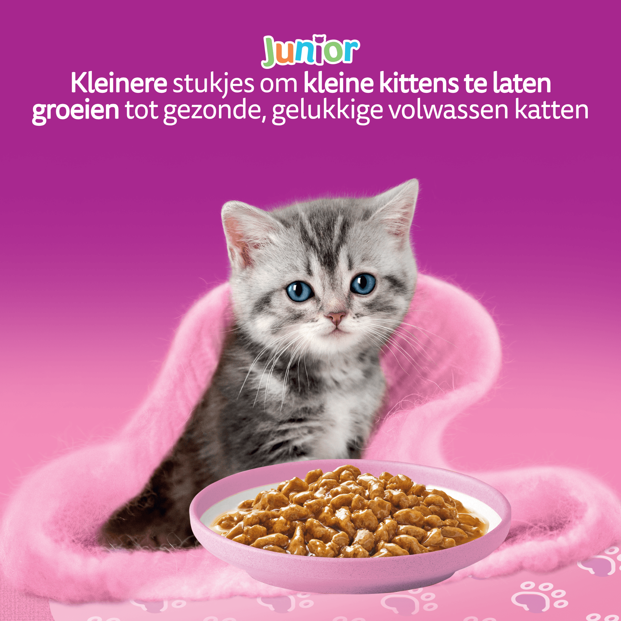 Whiskas Junior Natvoer - Classic