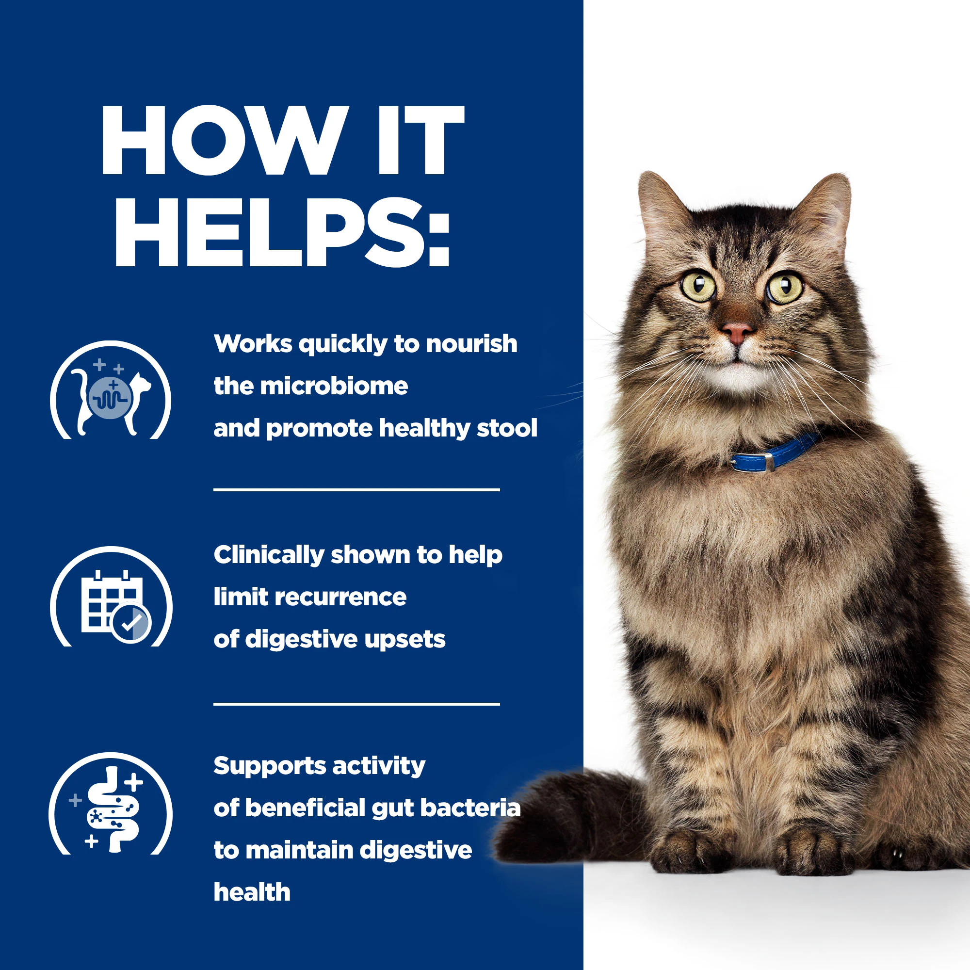 Hill's Prescription Diet - Gastrointestinal Biome - Feline - Wet Food