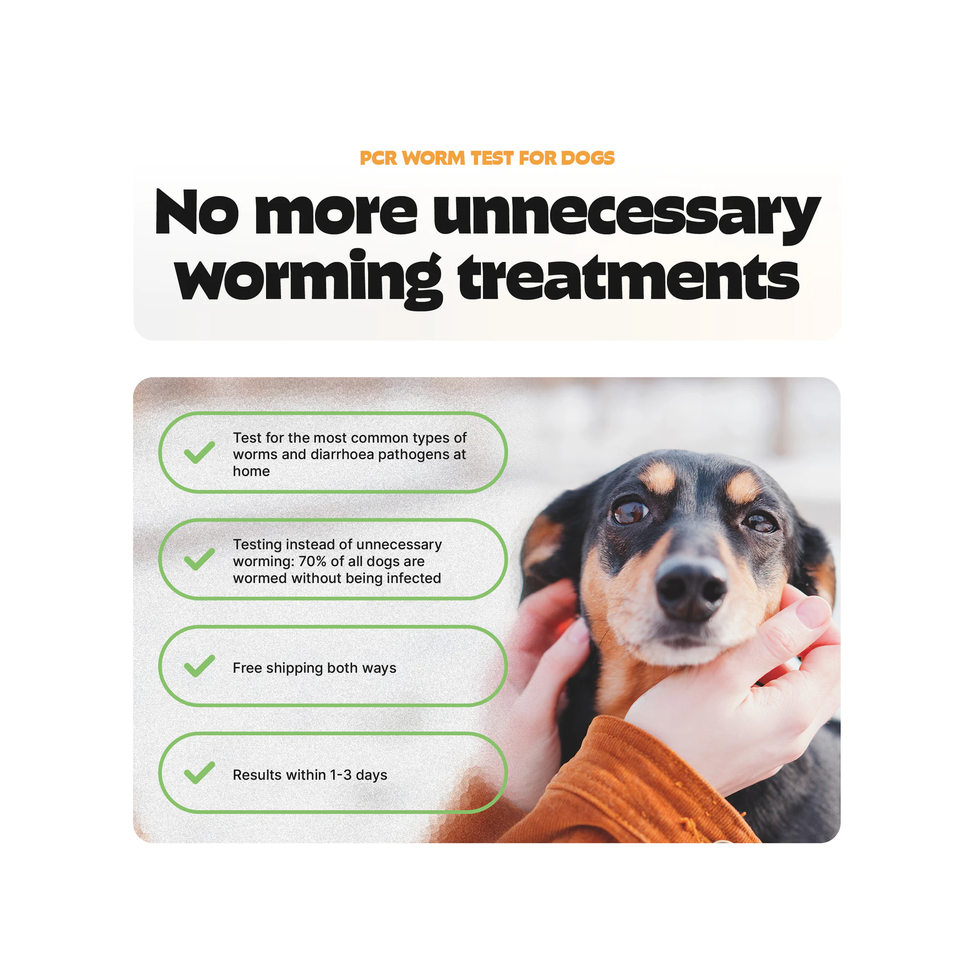 Pezz PCR Worm Test Dog