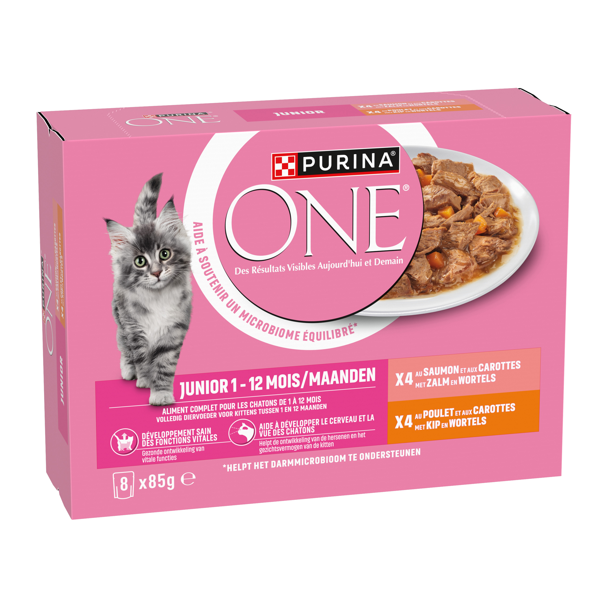 Purina ONE Junior Nassfutter - Huhn und Lachs