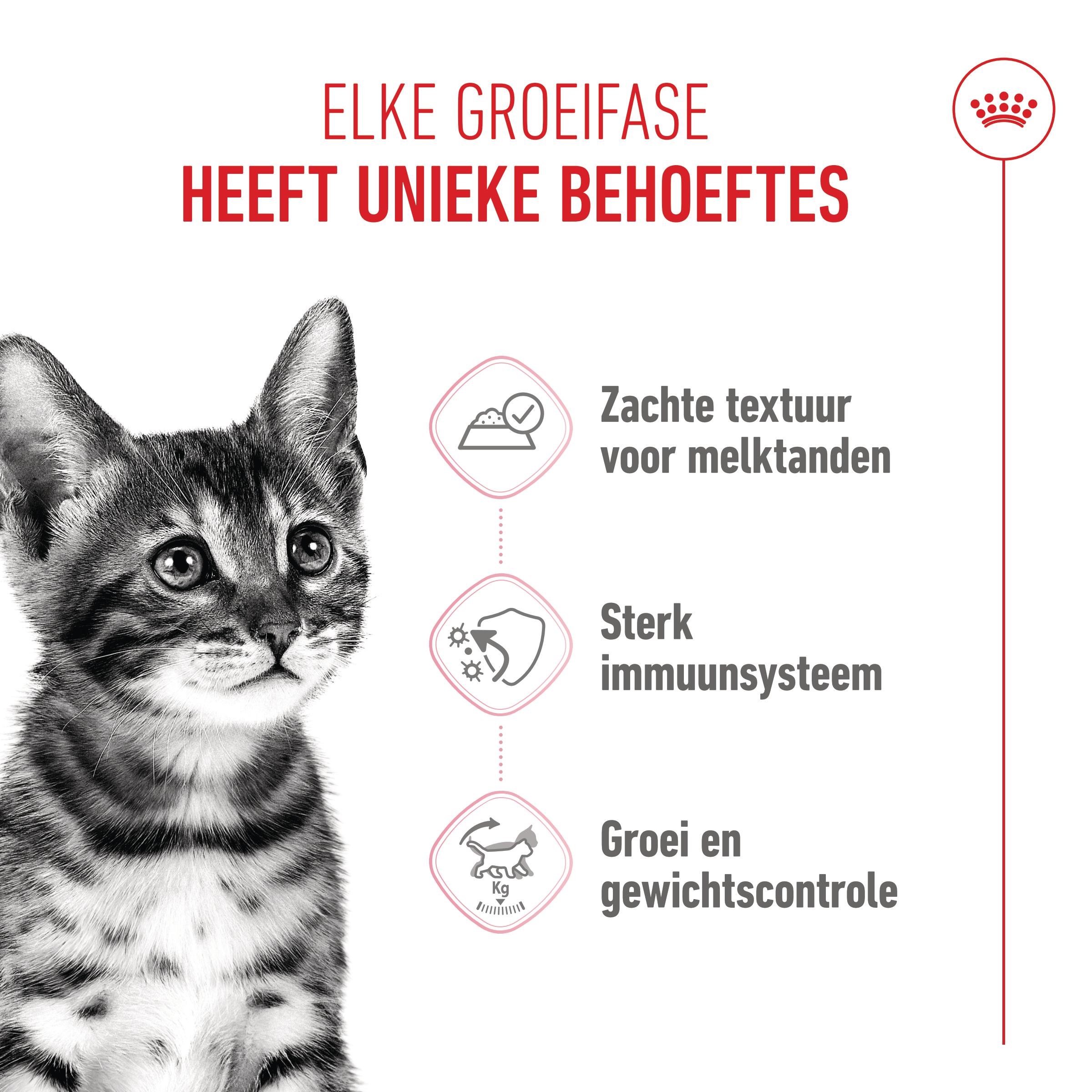 Royal Canin Kitten Sterilised in Jelly - Maaltijdzakje