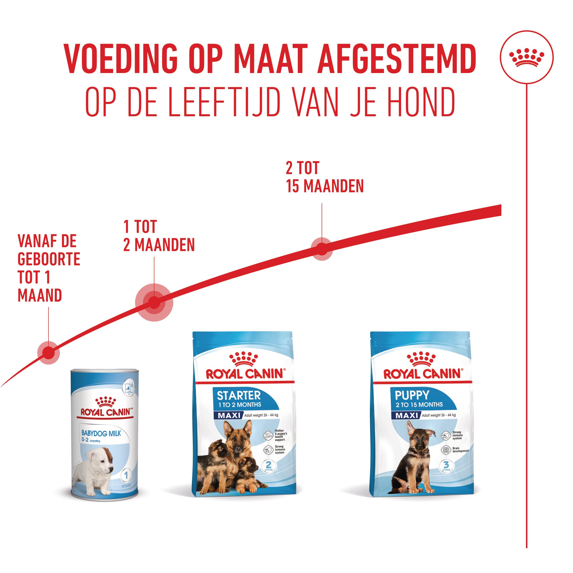 Royal Canin Maxi Starter Mother & Babydog - Hondenvoer