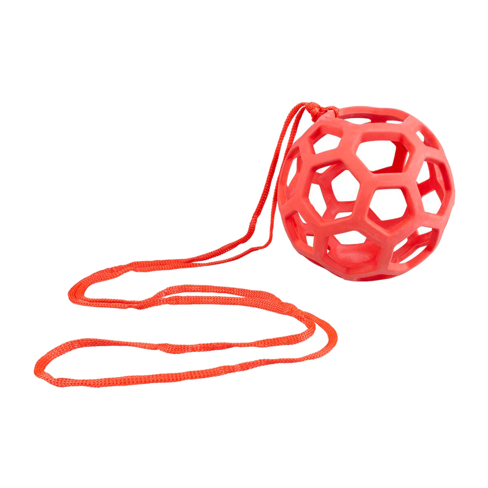Duvoplus Feeding Ball for Chickens
