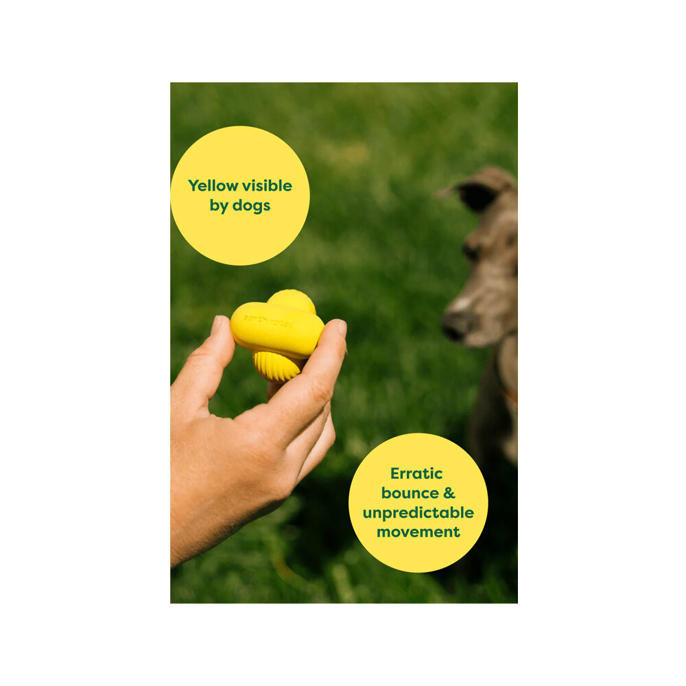 Earth Rated Fetch Toy