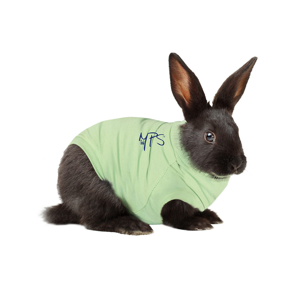 Medical Pet Shirt Recovery Rabbits Order Vetsend.co.uk