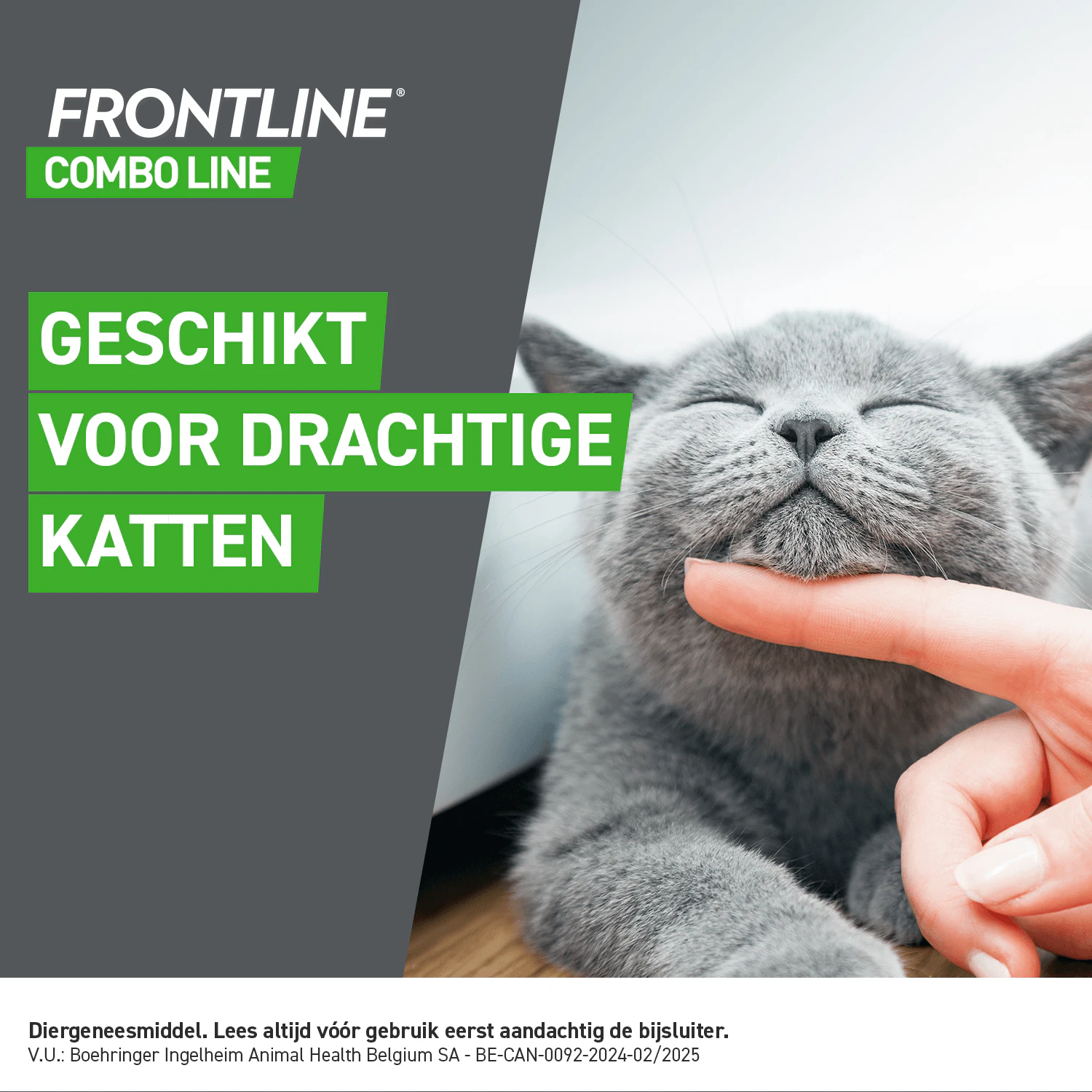 Frontline Combo Line Kat