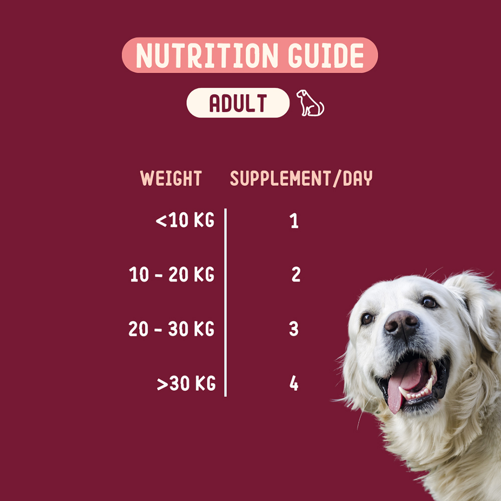 Imby Skin Health Hund