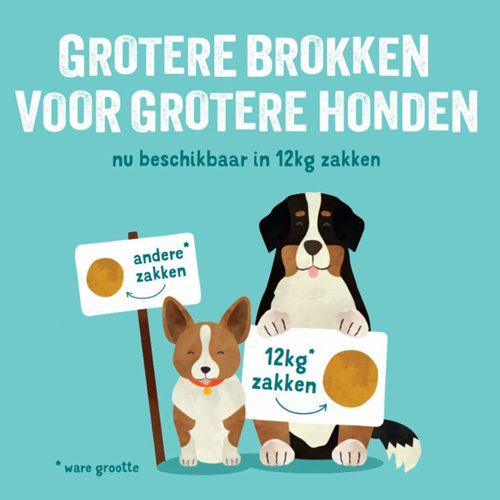 Edgard & Cooper Adult - Zalm | Hond | Bestellen | Medpets.Nl