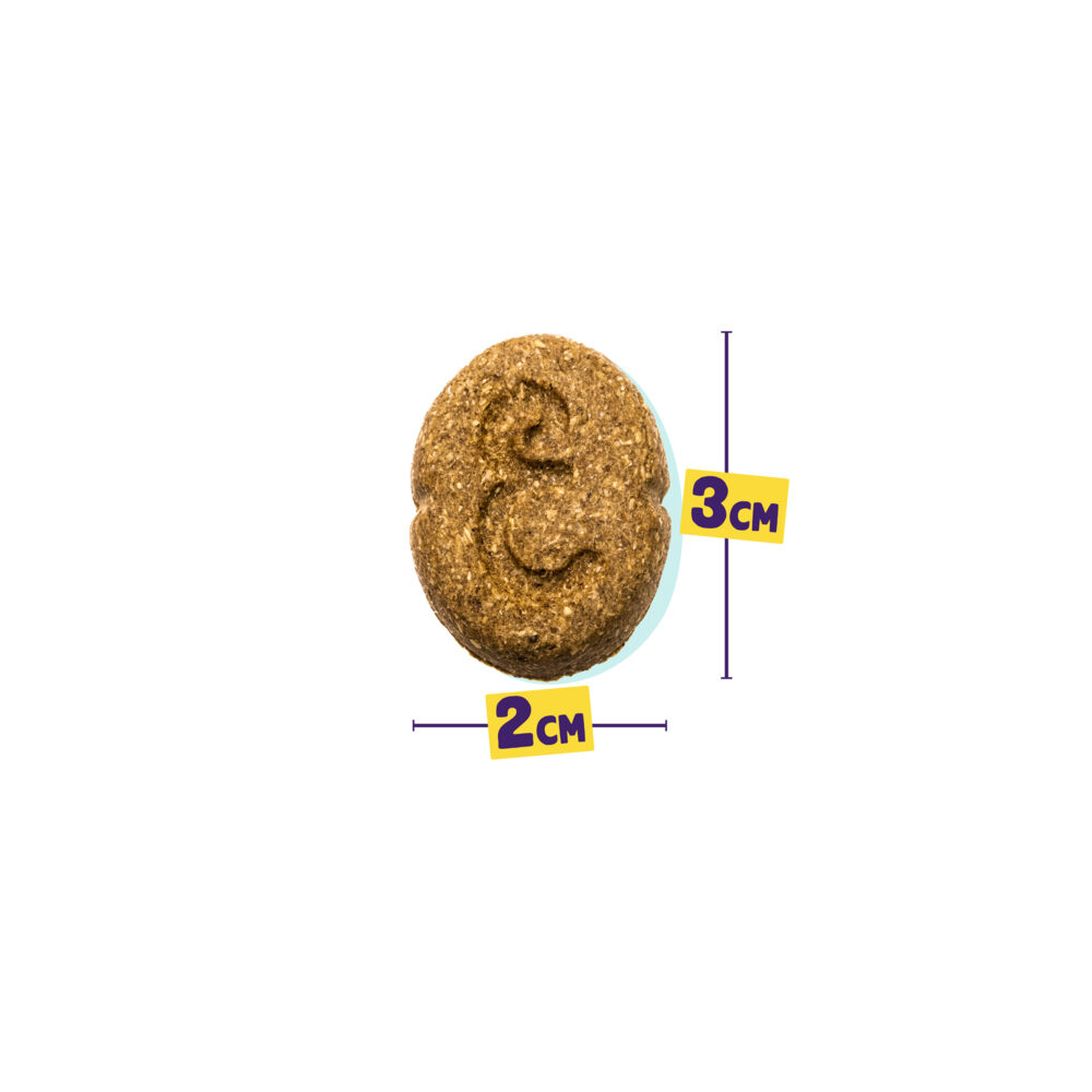 Edgard & Cooper Festive Biscuits