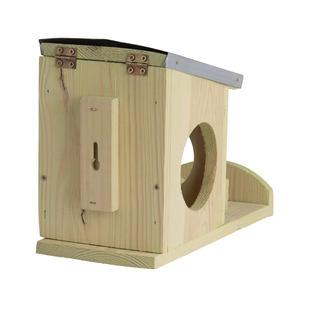 Squirrel Peanut Butter Feeder House