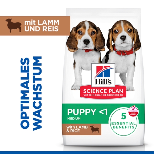 Hill's Science Plan Medium - Puppy - Lamm & Reis