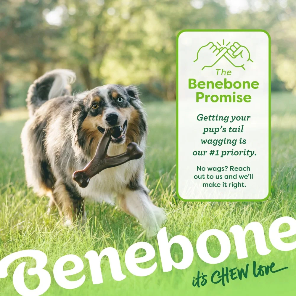 Benebone Tiny 2-Pack