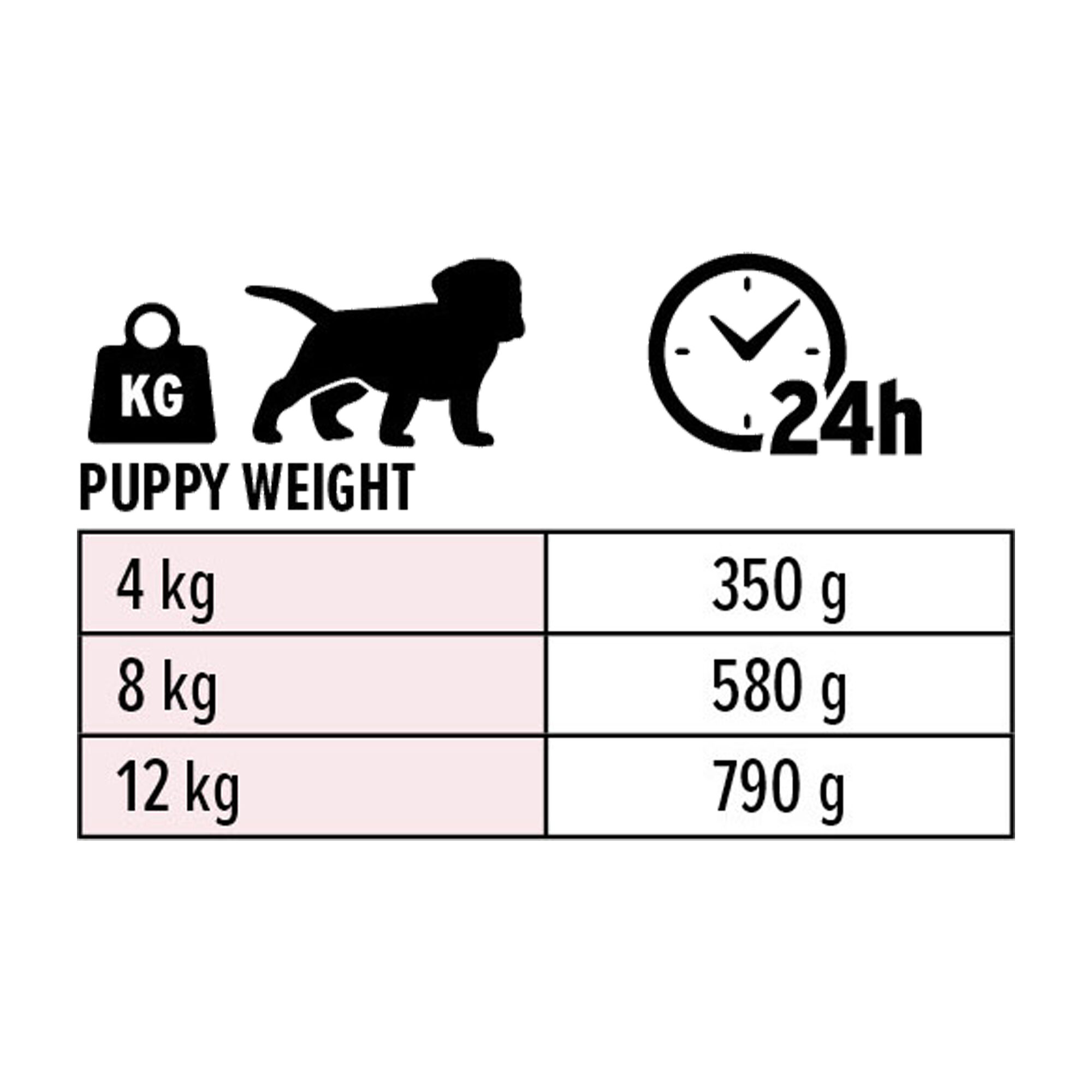 Euro Premium Puppy Paté - Kip en Lam