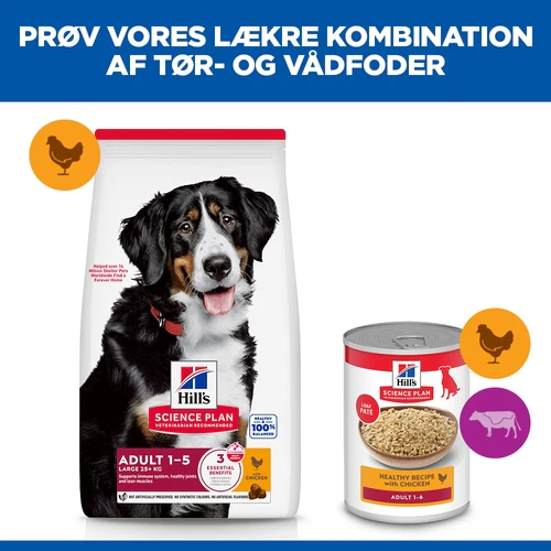 Hill's Science Plan - Large Breed - Adult - Kylling