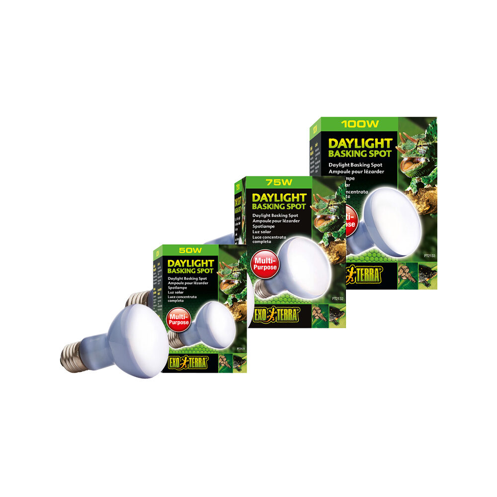 Exo Terra Daylight Heat Spot
