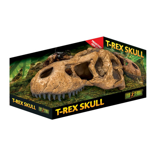 Exo Terra T-Rex Kranium Fossilskjul