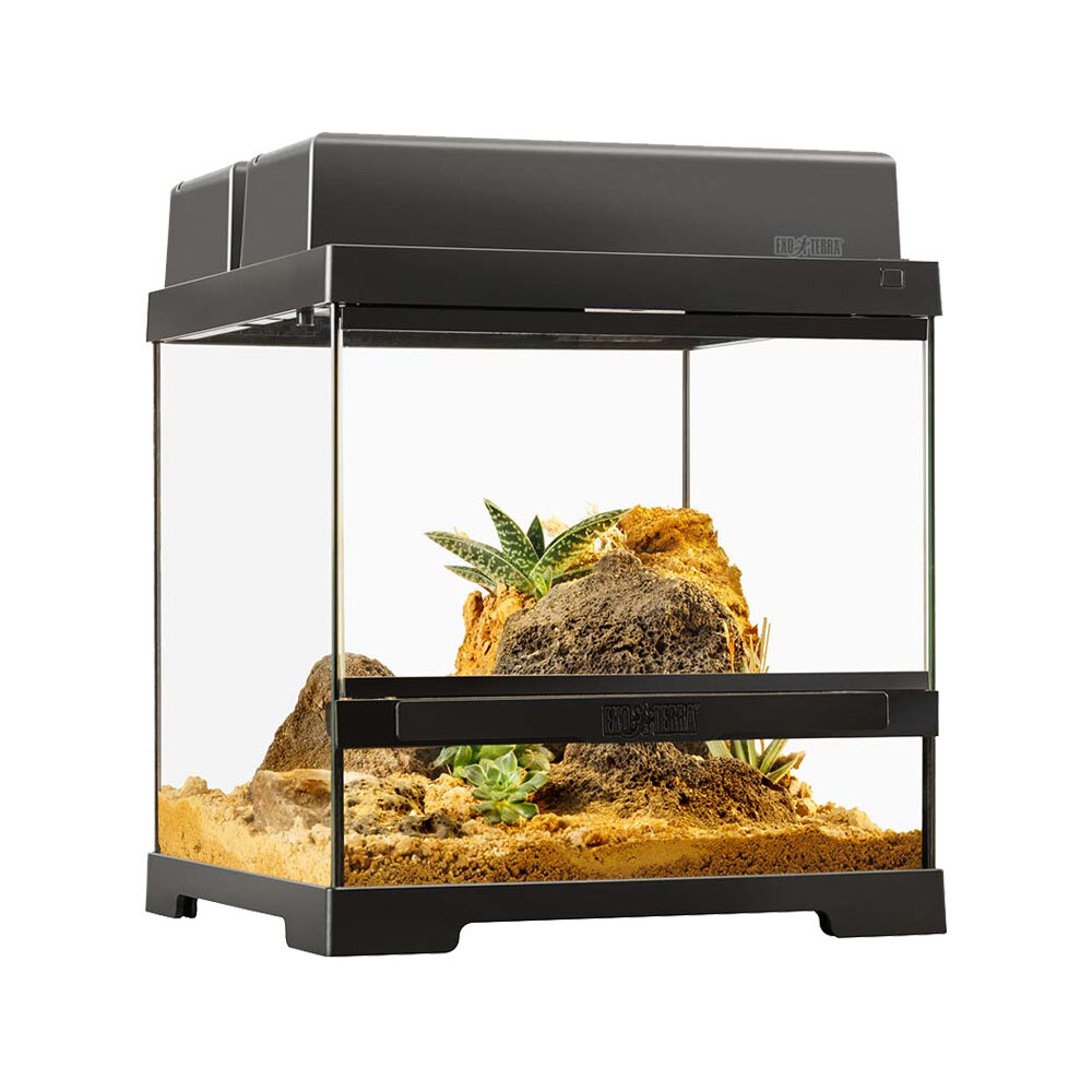 Exo Terra Terrarium XS-Wide