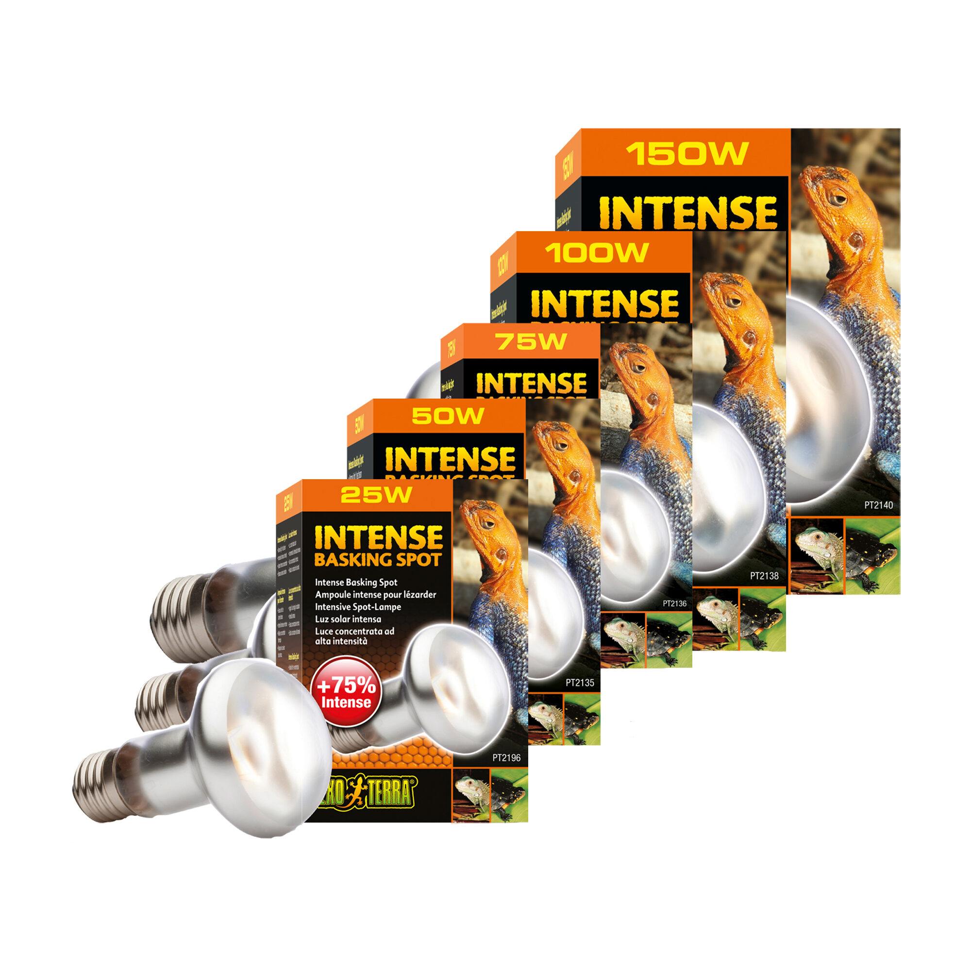 Exo Terra Tightbeam Spot de Chaleur Lumière du Jour