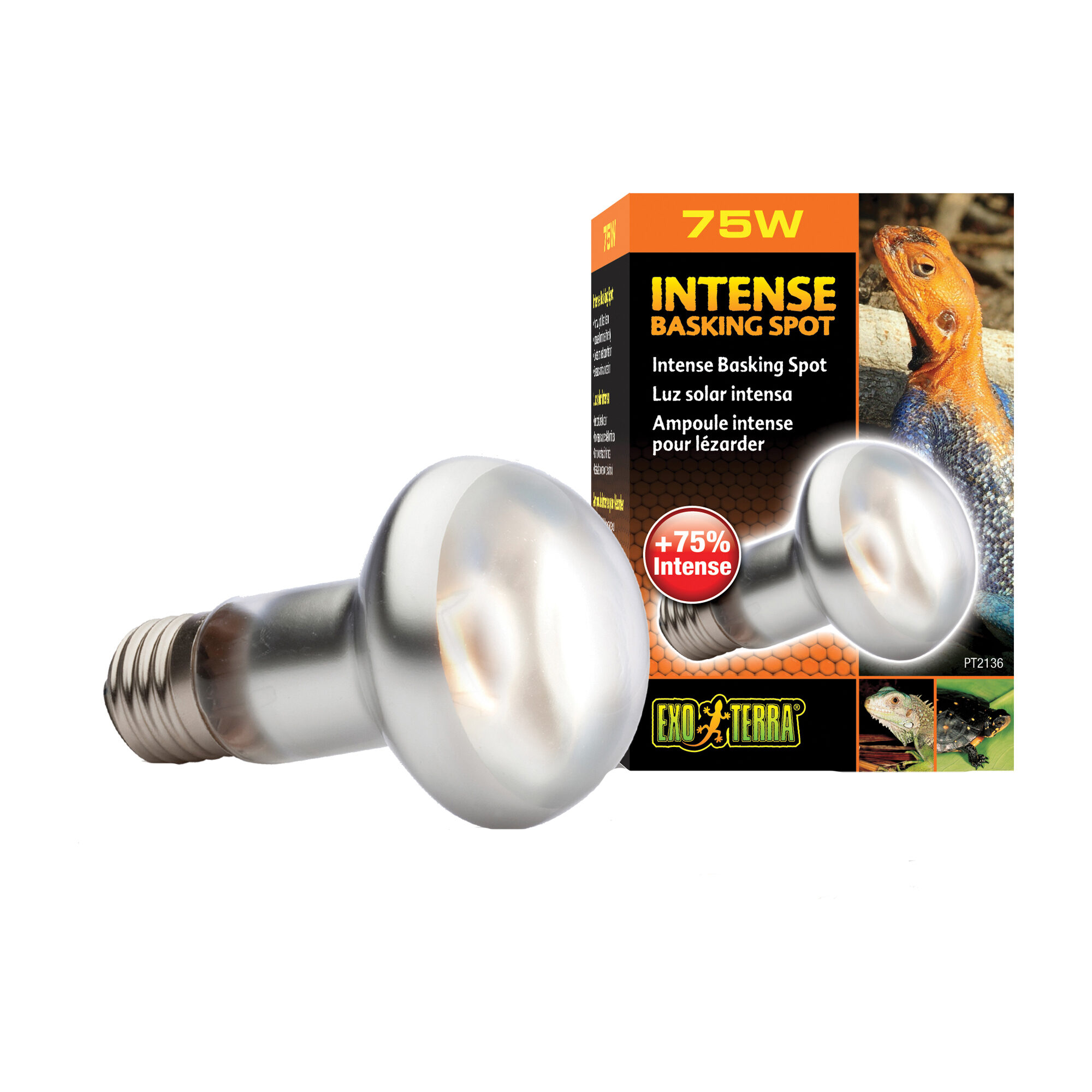 Exo Terra Tightbeam Daglicht Warmtespot - r20 75W