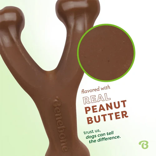 Benebone Wishbone - Peanut - Large