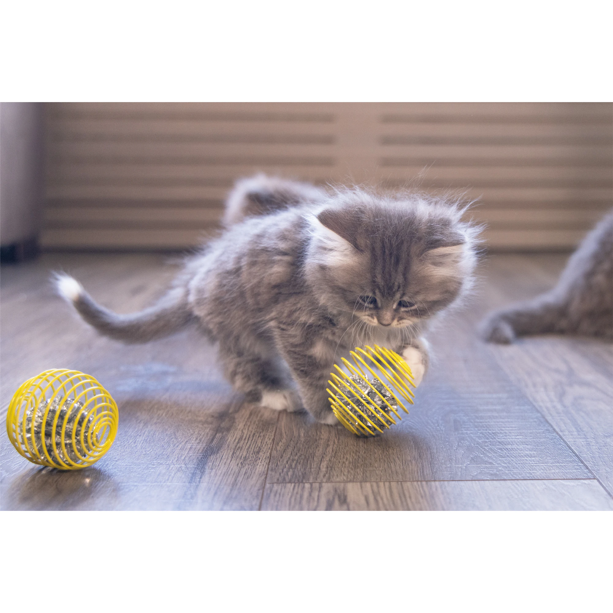 Beeztees Balle à Ressort pour Chaton