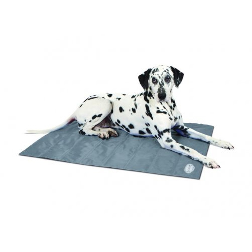 Scruffs cool 2024 dog bed