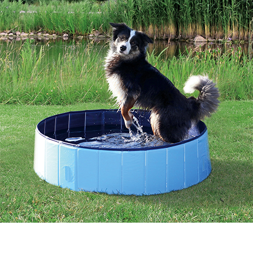 Trixie Piscine pour chien - 80 x 20 cm