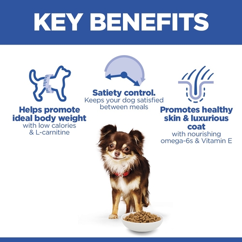 how much l carnitine should i give my dog Hill's Small & Mini Adult Light | Dog