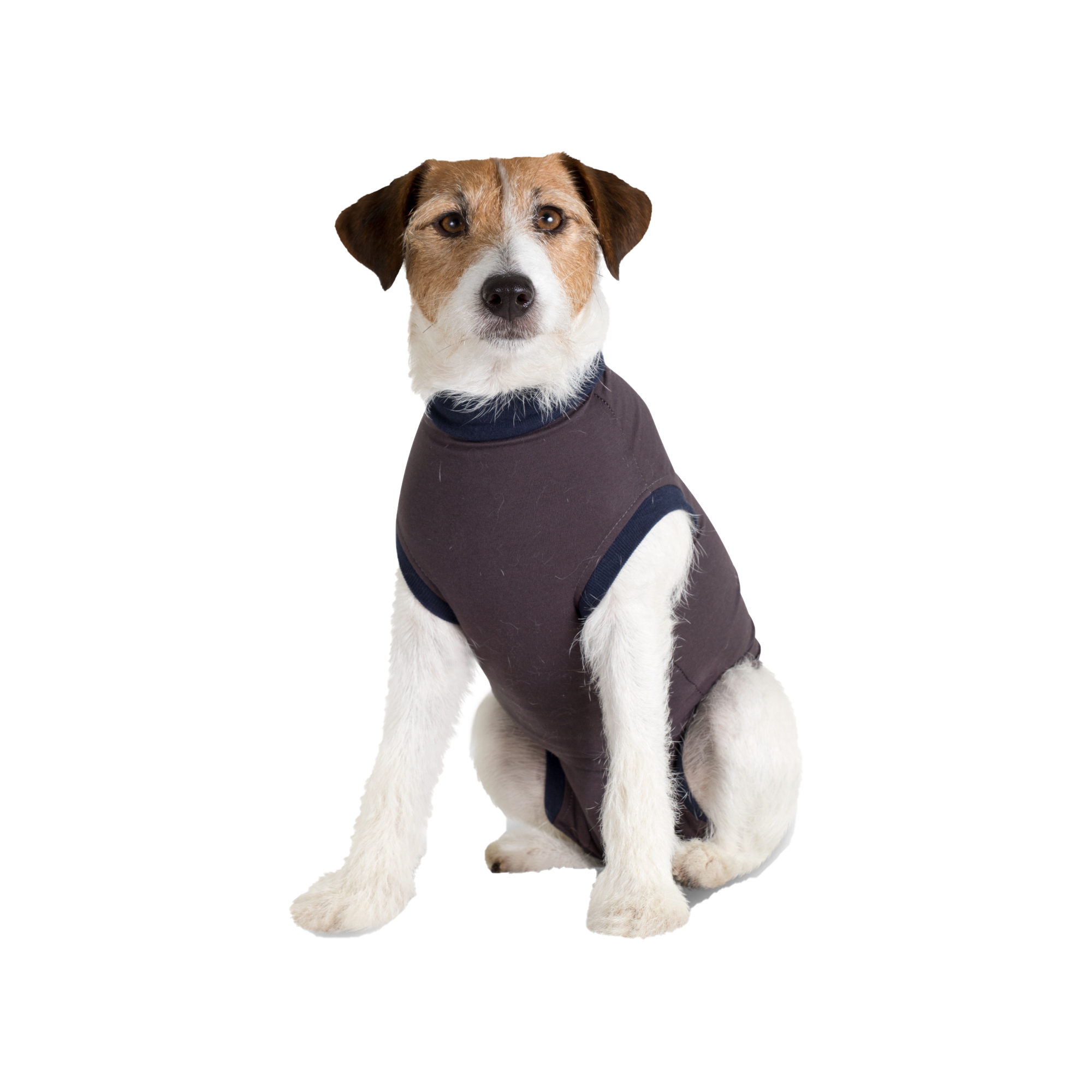 Jacketz Medical Bodysuit Dog - XXS