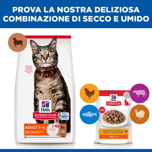 Hill's Science Plan Adult - Agnello