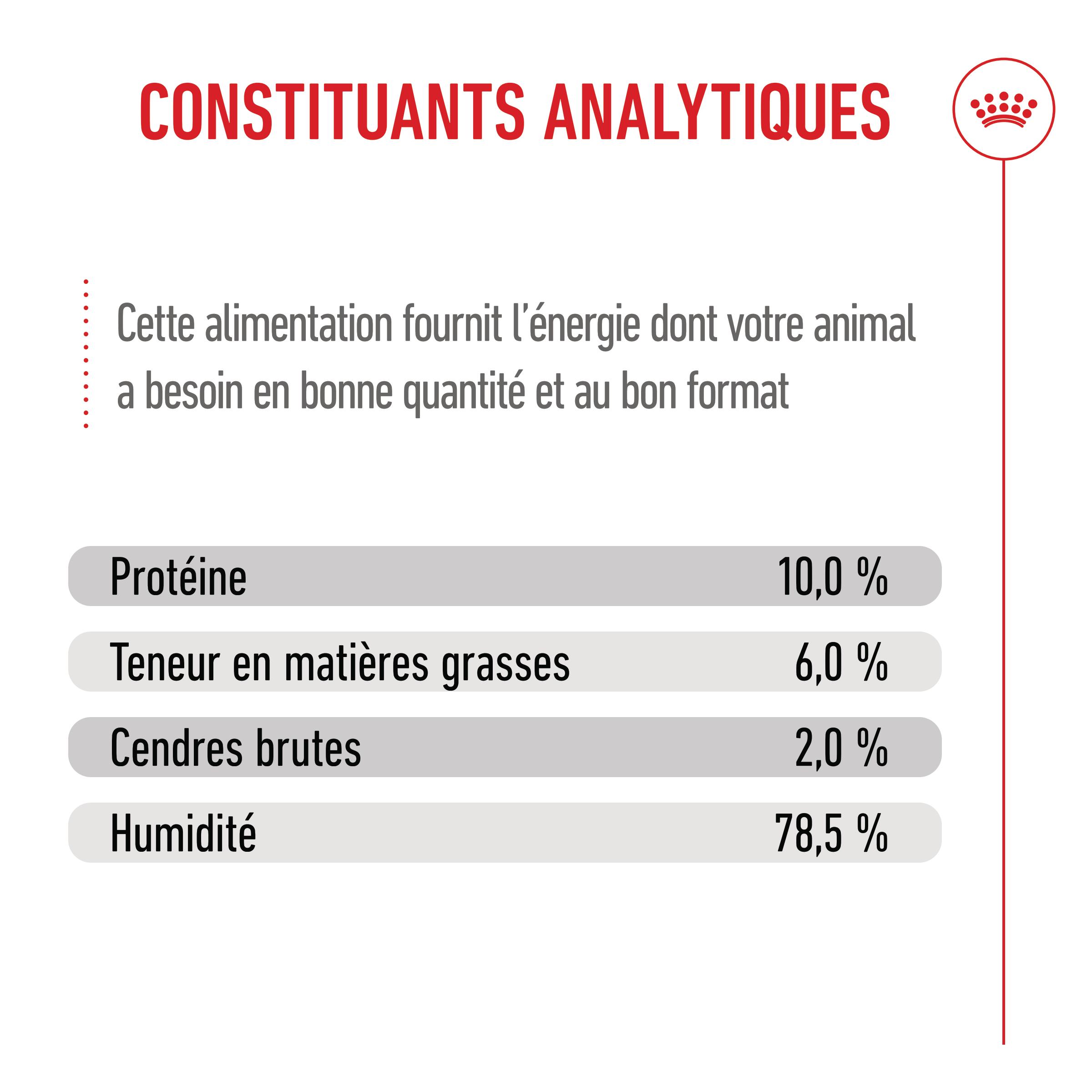 Royal Canin Starter Mousse Mother & Babydog - Boîte