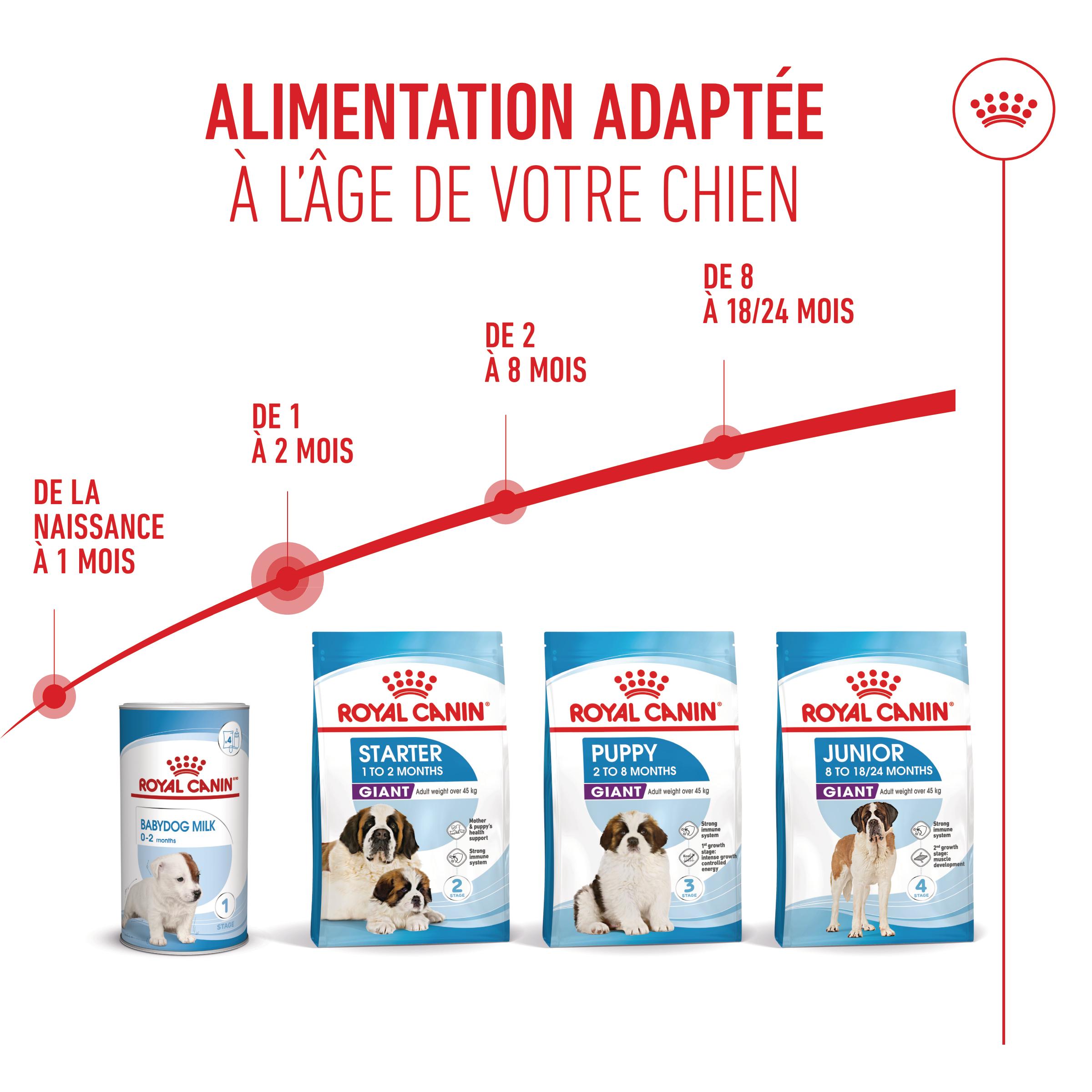 Royal Canin Giant Starter Mother & Babydog