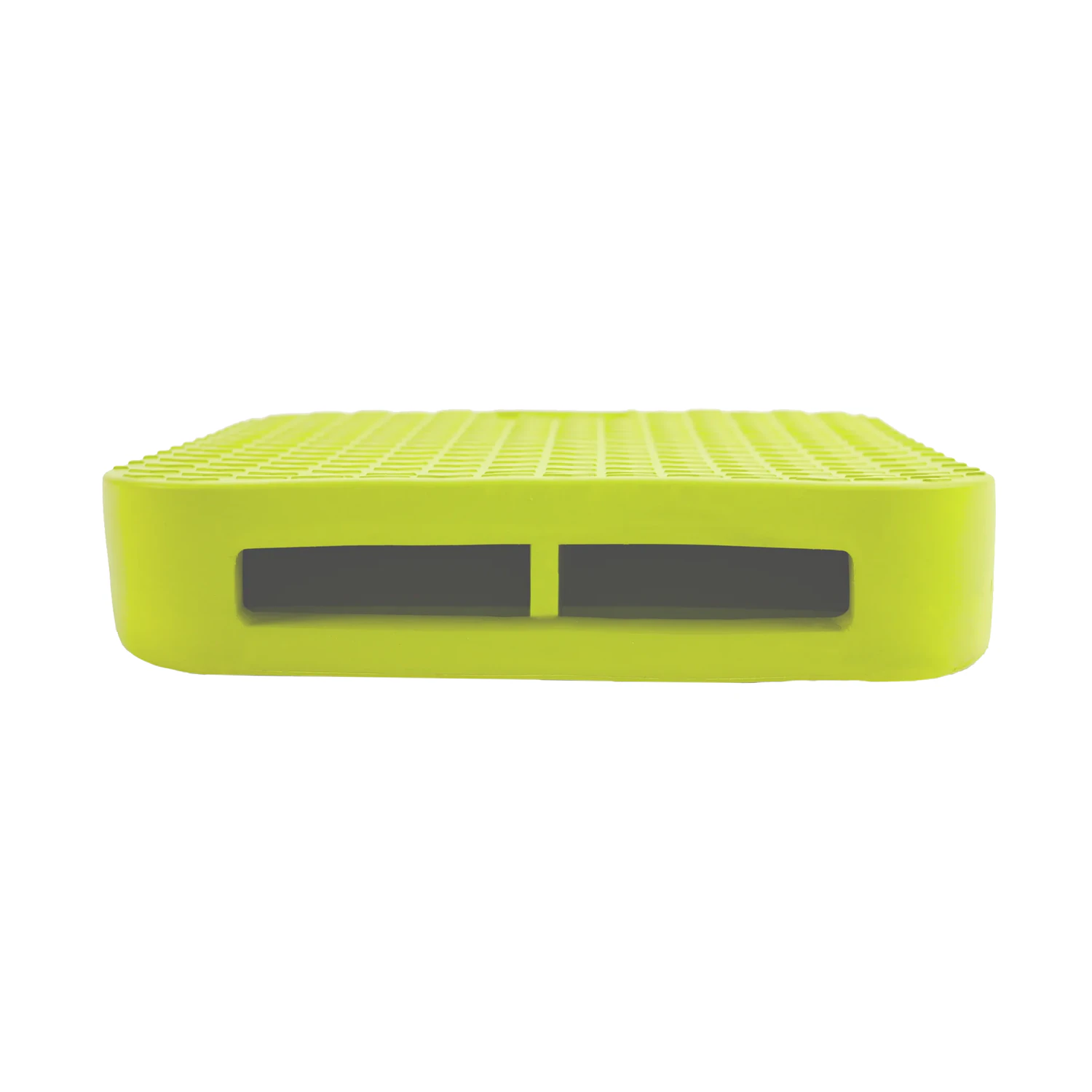 FitPAWS Balance Ramp