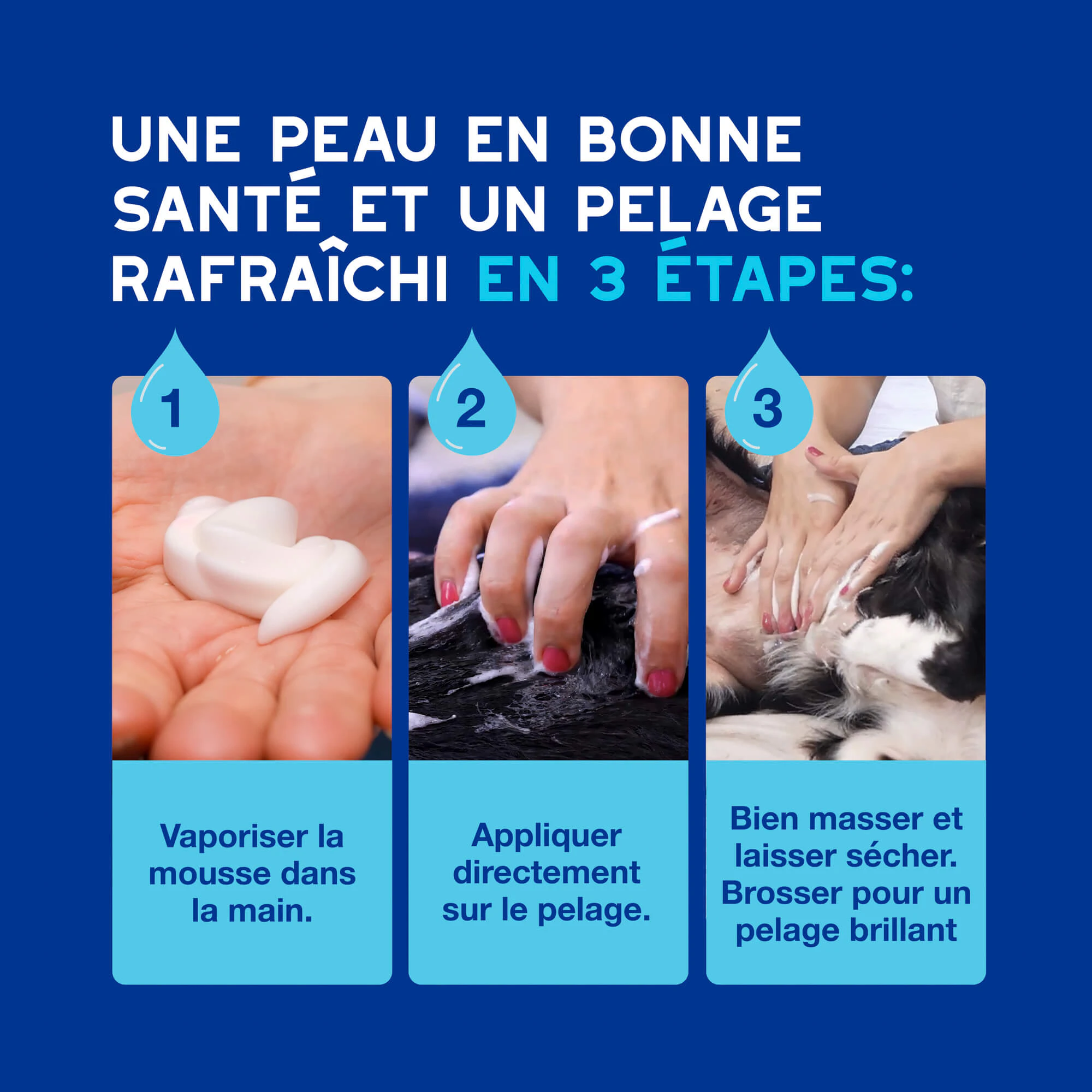 Douxo Spa Mousse pour Chien