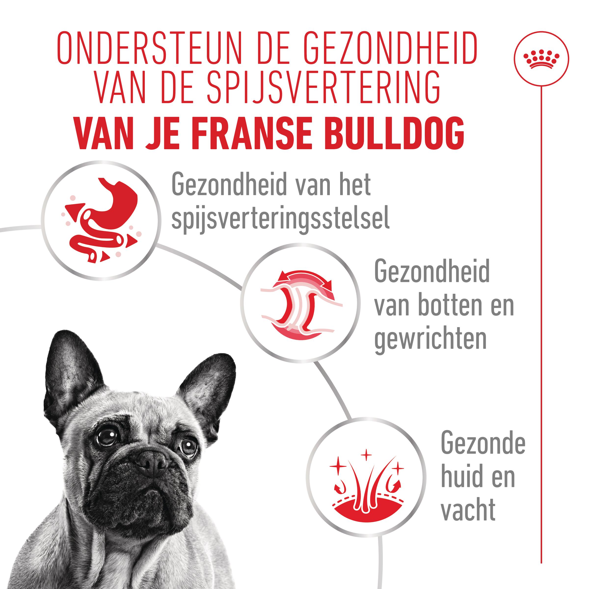 Royal Canin French Bulldog Loaf - Maaltijdzakje