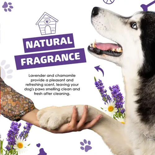DogsLife Paw Cleaner