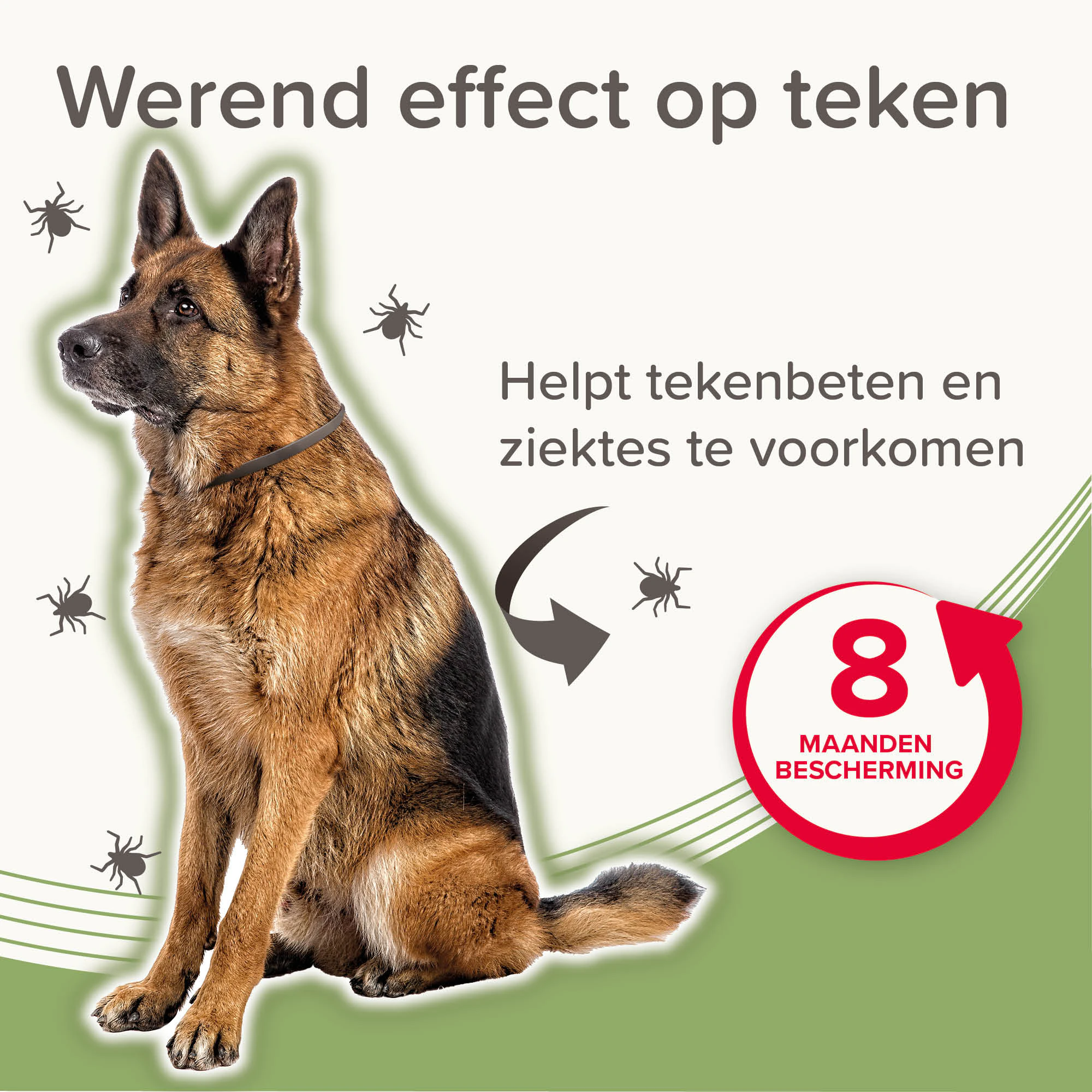 Beaphar Medicinale Halsband Hond